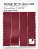 Product image 3 of the product “PANTONE® COTTON SWATCH CARD 19-1863 TCX Scooter ”