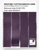 Product image 3 of the product “PANTONE® COTTON SWATCH CARD 19-2814 TCX Wineberry ”