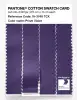 Artikelbild 3 des Artikels “PANTONE® COTTON SWATCH CARD 19-3748 TCX Prism Violet “