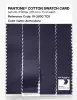 Product image 3 of the product “PANTONE® COTTON SWATCH CARD 19-3830 TCX Astral Aura ”
