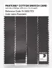 Artikelbild 3 des Artikels “PANTONE® COTTON SWATCH CARD 19-3900 TCX Pavement “