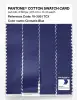 Artikelbild 3 des Artikels “PANTONE® COTTON SWATCH CARD 19-3951 TCX Clematis Blue “