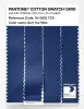 Product image 3 of the product “PANTONE® COTTON SWATCH CARD 19-3952 TCX Surf the Web ”