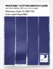 Product image 3 of the product “PANTONE® COTTON SWATCH CARD 19-3955 TCX Royal Blue ”
