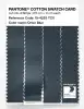 Artikelbild 3 des Artikels “PANTONE® COTTON SWATCH CARD 19-4229 TCX Orion Blue “