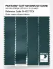 Product image 3 of the product “PANTONE® COTTON SWATCH CARD 19-4727 TCX Green Heron ”