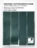 Artikelbild 3 des Artikels “PANTONE® COTTON SWATCH CARD 19-5413 TCX Jasper “