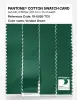 Product image 3 of the product “PANTONE® COTTON SWATCH CARD 19-6026 TCX Verdant Green ”