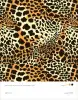 Artikelbild 4 des Artikels “Animal Style Textures Vol. 1 incl. DVD “