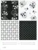 Artikelbild 4 des Artikels “Black & White Matrix Vol. 3 incl. DVD “
