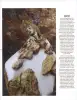 Product image 4 of the product “Bloom no. 24 ”