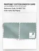 Artikelbild 4 des Artikels “PANTONE® COTTON SWATCH CARD 14-4807 TCX Surf Spray “