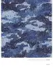 Artikelbild 5 des Artikels “Abstract Camouflage Textures Vol. 1 incl. DVD “