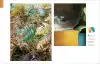 Artikelbild 6 des Artikels “Palette Perfect - Color Combinations Inspired by Fashion, Art & Style “