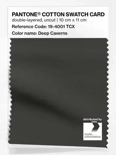PANTONE® COTTON SWATCH CARD 19-4001 TCX Deep Caverns