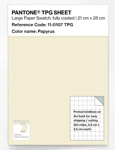PANTONE® TPG SHEET 11-0107 TPG Papyrus