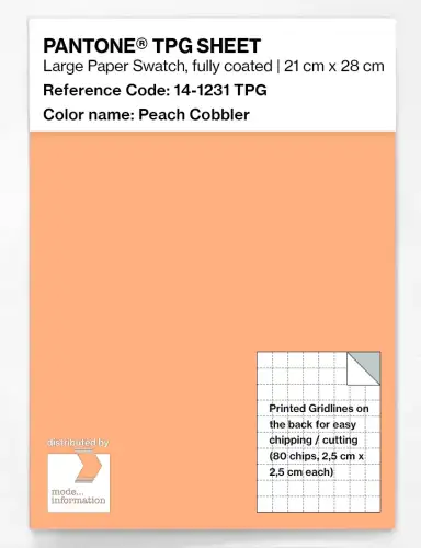 PANTONE® TPG SHEET 14-1231 TPG Peach Cobbler