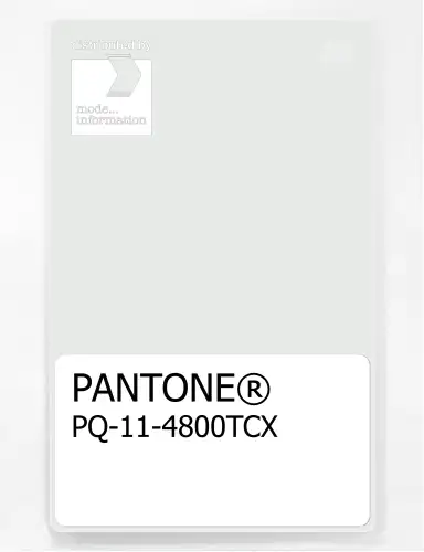 PANTONE® PLASTIC STANDARD CHIP PQ 11-4800 TCX Blanc de Blanc