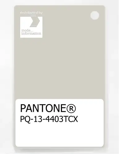 PANTONE® PLASTIC STANDARD CHIP PQ 13-4403 TCX Silver Birch