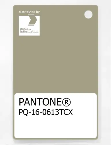 Artikelbild des Artikels “PANTONE® PLASTIC STANDARD CHIP PQ 16-0613 TCX Elm “
