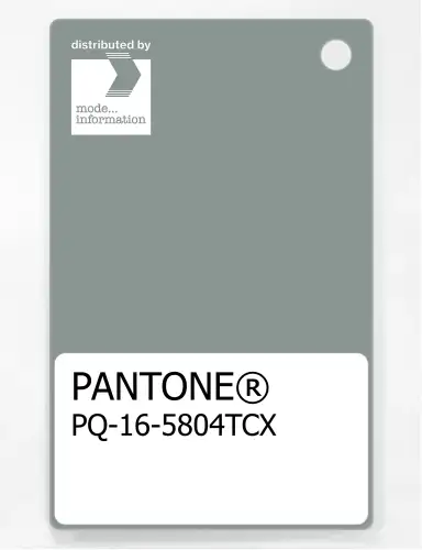PANTONE® PLASTIC STANDARD CHIP PQ 16-5804 TCX Slate Gray