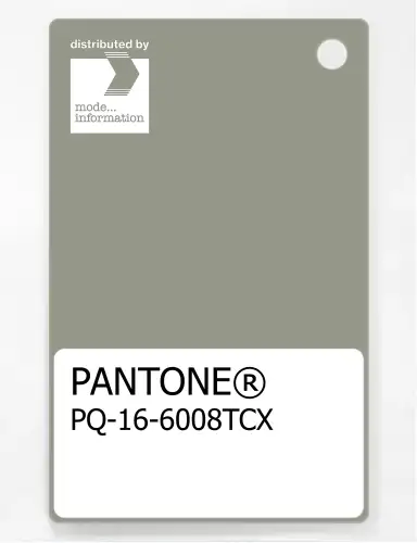 PANTONE® PLASTIC STANDARD CHIP PQ 16-6008 TCX Seagrass
