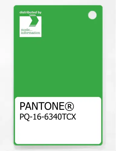 PANTONE® PLASTIC STANDARD CHIP PQ 16-6340 TCX Classic Green