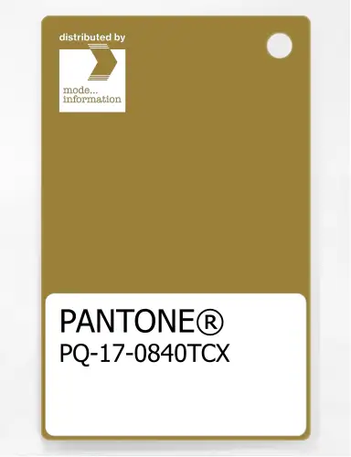 PANTONE® PLASTIC STANDARD CHIP PQ 17-0840 TCX Amber Green