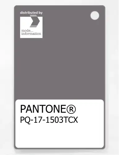 PANTONE® PLASTIC STANDARD CHIP PQ 17-1503 TCX Storm Front