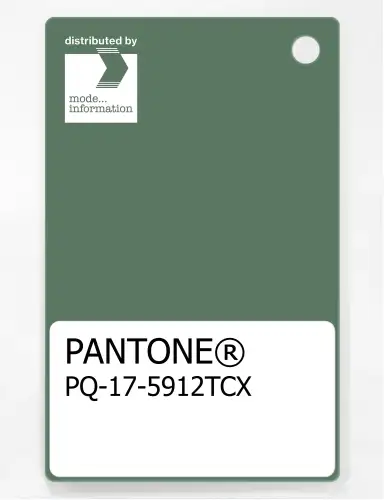 PANTONE® PLASTIC STANDARD CHIP PQ 17-5912 TCX Dark Ivy