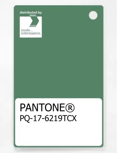 PANTONE® PLASTIC STANDARD CHIP PQ 17-6219 TCX Deep Grass Green