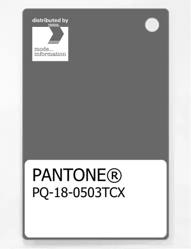 PANTONE® PLASTIC STANDARD CHIP PQ 18-0503 TCX Gargoyle
