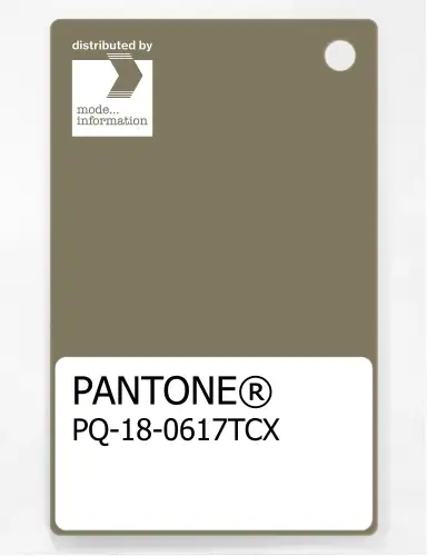 PANTONE® PLASTIC STANDARD CHIP PQ 18-0617 TCX Covert Green