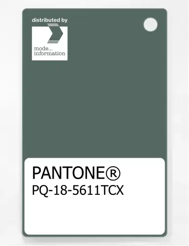 PANTONE® PLASTIC STANDARD CHIP PQ 18-5611 TCX Dark Forest