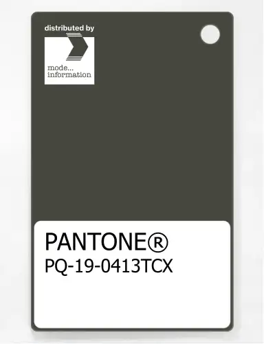 PANTONE® PLASTIC STANDARD CHIP PQ 19-0413 TCX Deep Depths