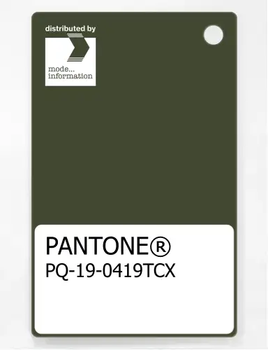 PANTONE® PLASTIC STANDARD CHIP PQ 19-0419 TCX Rifle Green