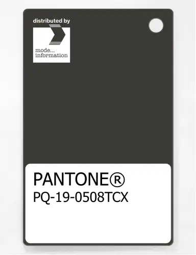 PANTONE® PLASTIC STANDARD CHIP PQ 19-0508 TCX Peat