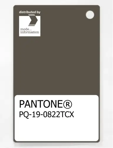 PANTONE® PLASTIC STANDARD CHIP PQ 19-0822 TCX Tarmac