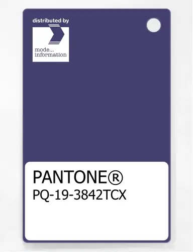 PANTONE® PLASTIC STANDARD CHIP PQ 19-3842 TCX Deep Wisteria