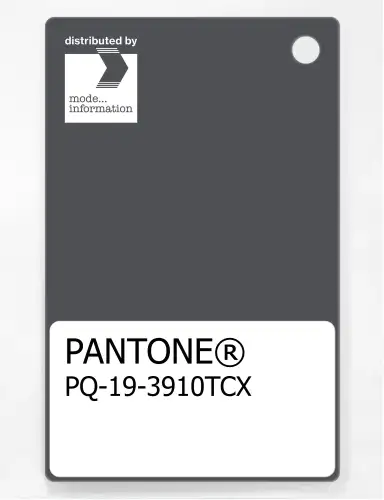 PANTONE® PLASTIC STANDARD CHIP PQ 19-3910 TCX Iron Gate