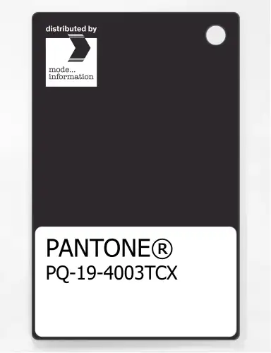 PANTONE® PLASTIC STANDARD CHIP PQ 19-4003 TCX Black Onyx
