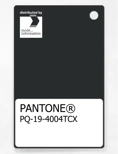 PANTONE® PLASTIC STANDARD CHIP PQ 19-4004 TCX Tap Shoe