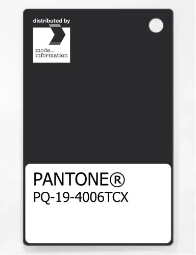 PANTONE® PLASTIC STANDARD CHIP PQ 19-4006 TCX Caviar