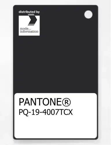 PANTONE® PLASTIC STANDARD CHIP PQ 19-4007 TCX Anthracite