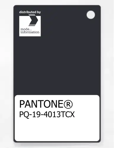 PANTONE® PLASTIC STANDARD CHIP PQ 19-4013 TCX Dark Navy