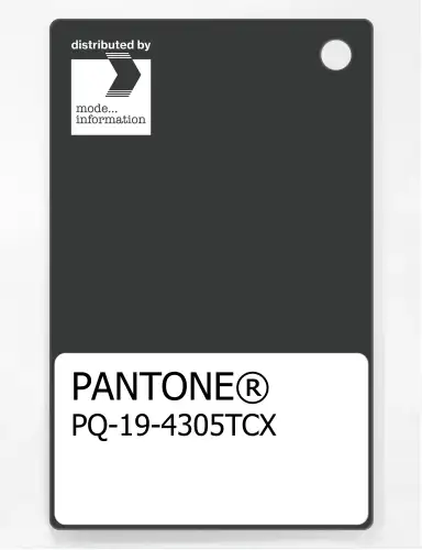 PANTONE® PLASTIC STANDARD CHIP PQ 19-4305 TCX Pirate Black