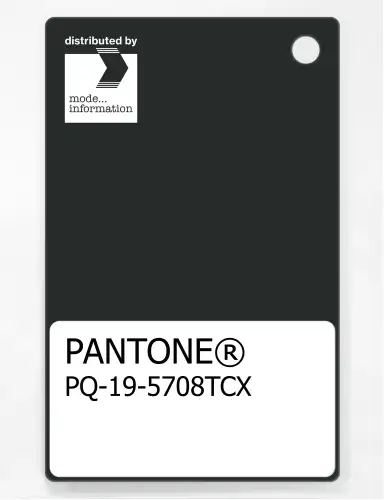 PANTONE® PLASTIC STANDARD CHIP PQ 19-5708 TCX Jet Set