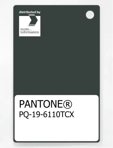 PANTONE® PLASTIC STANDARD CHIP PQ 19-6110 TCX Deep Forest