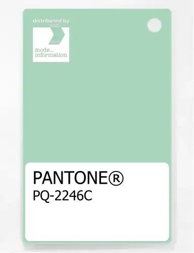 Artikelbild des Artikels “PANTONE® PLASTIC STANDARD CHIP PQ 2246C “