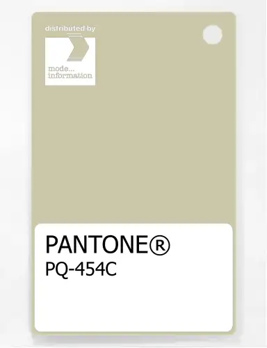 Artikelbild des Artikels “PANTONE® PLASTIC STANDARD CHIP PQ 454C “